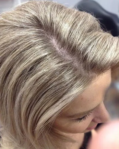 6 - Lady Jenny Brows