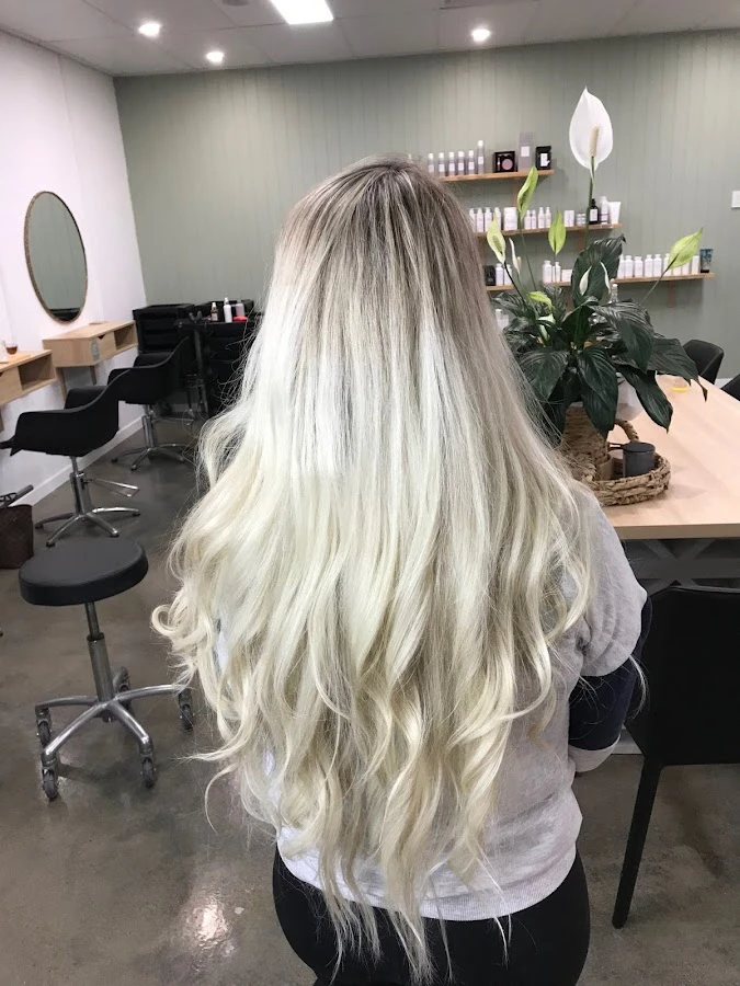 1 - Lady Jenny Brows