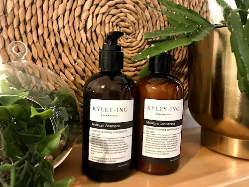 3 - Lady Jenny Brows