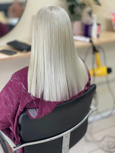 3 - Lidole Collaboration