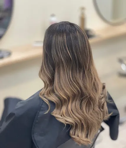 7 - Lidole Collaboration