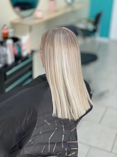 5 - Lidole Collaboration