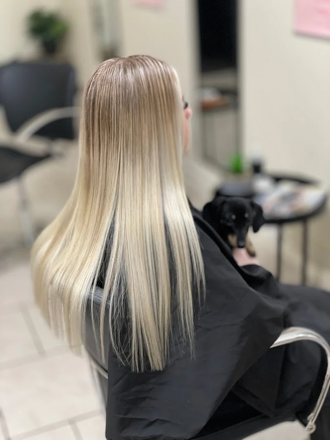 1 - Lidole Collaboration