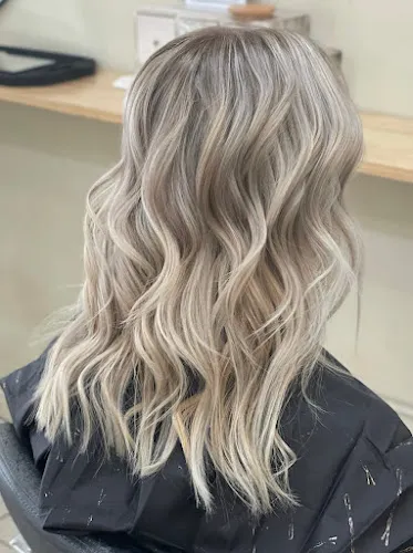 8 - Lidole Collaboration