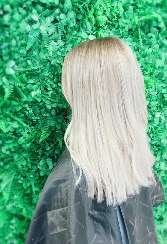 4 - Lidole Collaboration