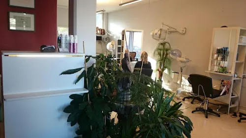 1 - Linköpings Hårklinik - Dam & Herrfrisör