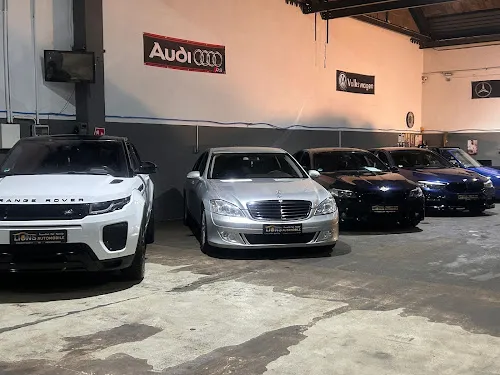 1 - Lions Automobile Lampertheim