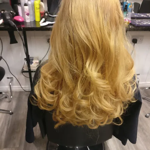 1 - Lions Mane Hair Studio