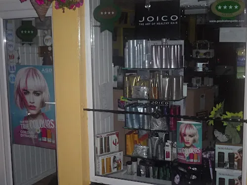 4 - Lions Mane Hair Studio