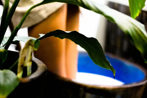 7 - Looking Good Hair Design