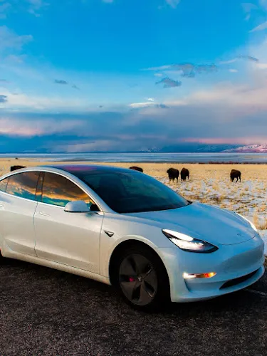 7 - Los Jefes Auto Repair