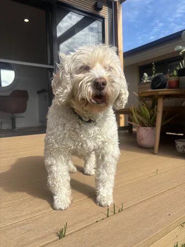 6 - Lovely Nails Spa