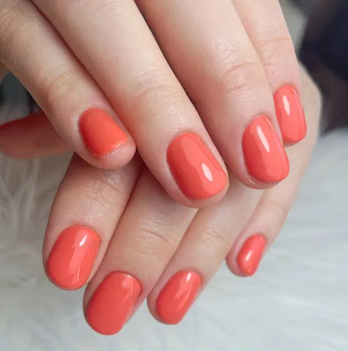 3 - Magic Cut Barber