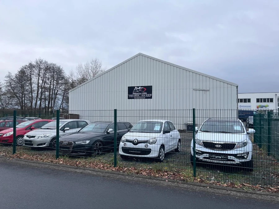 1 - Manfred Niedermark