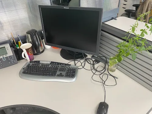 8 - Massage & Head Spa 名仁养生馆