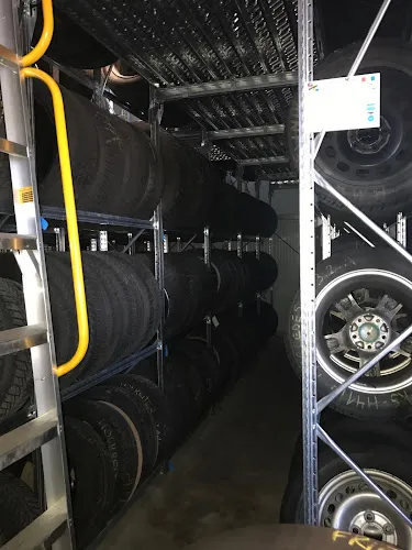 5 - Mehrmarkenwerkstatt-Rose Hofgeismar