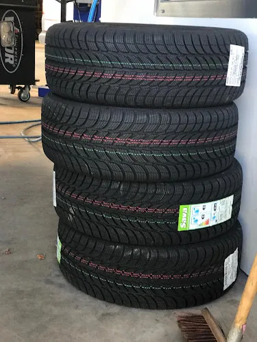 6 - Mehrmarkenwerkstatt-Rose Hofgeismar