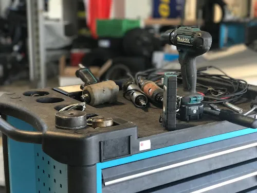 4 - Mehrmarkenwerkstatt-Rose Hofgeismar