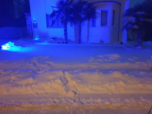 1 - Michael Grünebohm