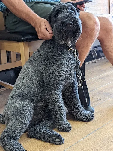 5 - Mode of Chester Hair, Nails & Beauty