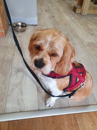 2 - Mode of Chester Hair, Nails & Beauty