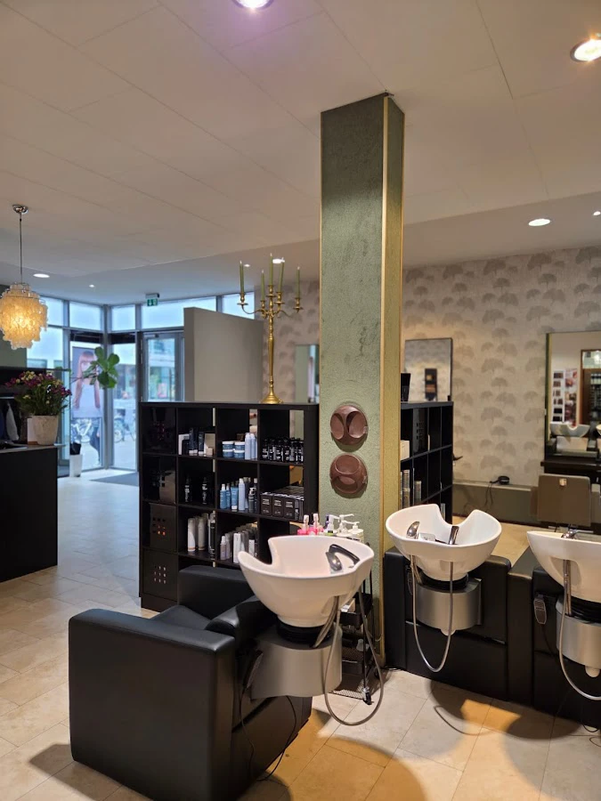 1 - Moses Hairstudio