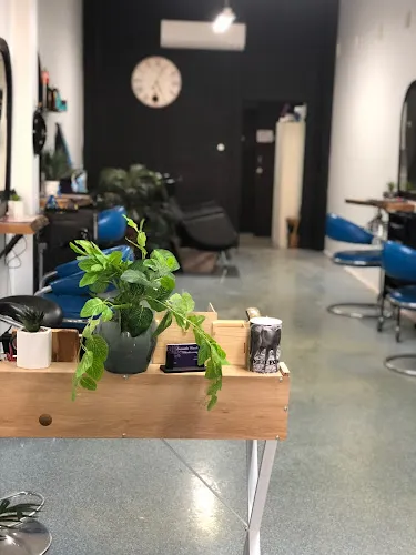 5 - Mudgee Dog Stylist