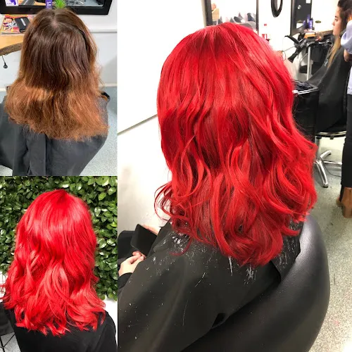 2 - Mudgee Dog Stylist