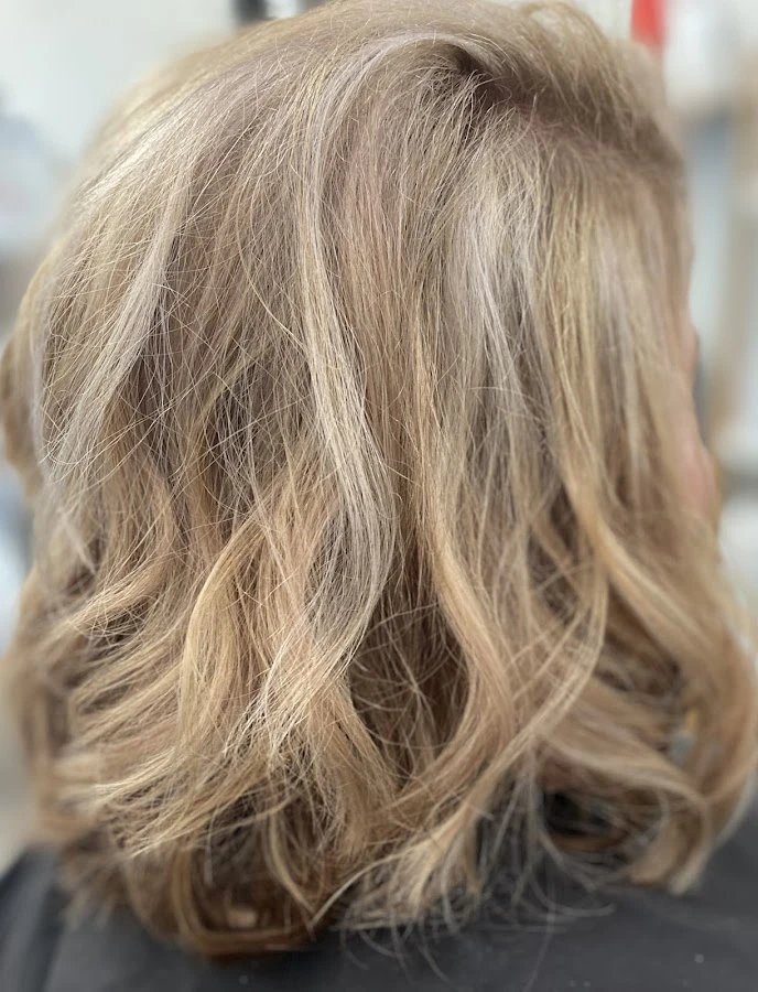 1 - my brilliant hair