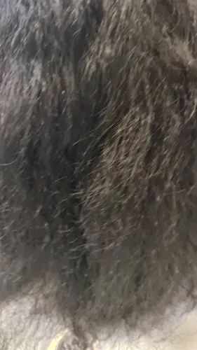 8 - MY HAIR, MY EVERYTHING