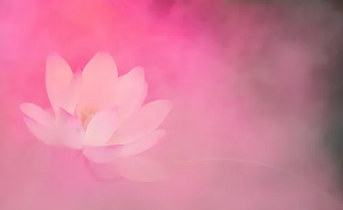 2 - My Nails & Beauty