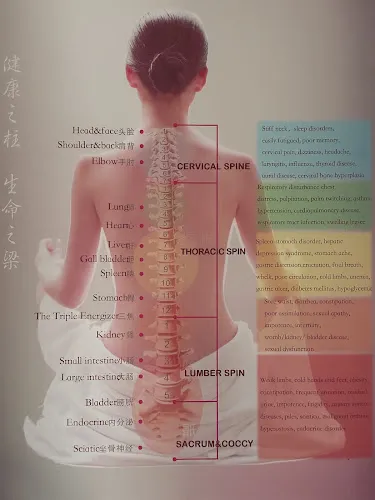 2 - North Ward Massage Centre