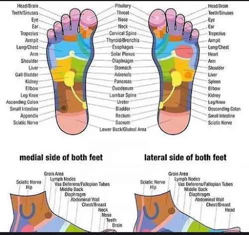 3 - North Ward Massage Centre