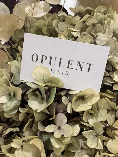 2 - Opulent Hair Boutique