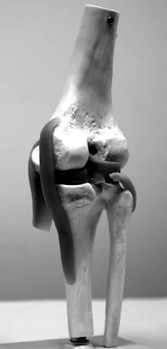 7 - Orthopraxis Ludwigsburg - Praxis für Orthopädie und Unfallchirurgie