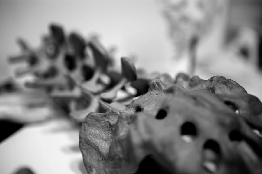 1 - Orthopraxis Ludwigsburg - Praxis für Orthopädie und Unfallchirurgie