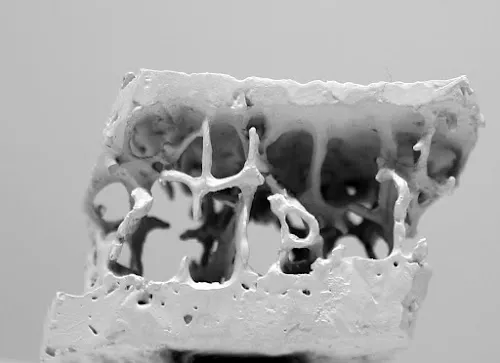 8 - Orthopraxis Ludwigsburg - Praxis für Orthopädie und Unfallchirurgie