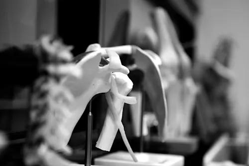 3 - Orthopraxis Ludwigsburg - Praxis für Orthopädie und Unfallchirurgie