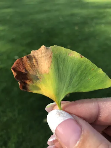 7 - Paiges Lane Barbers