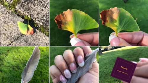 2 - Paiges Lane Barbers