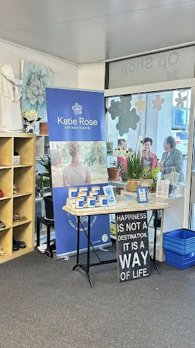 3 - Petra - Lashes & Brows