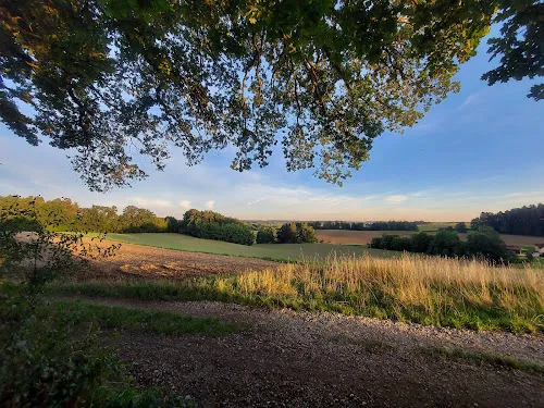 4 - Podologie Behrendt Medizinische Fußpflege