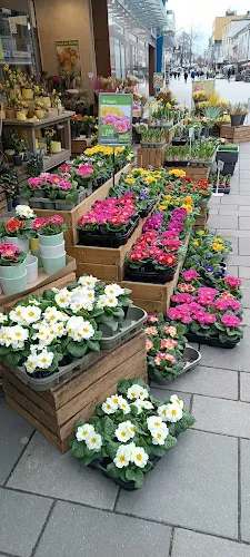 4 - Podologie Galina Derr