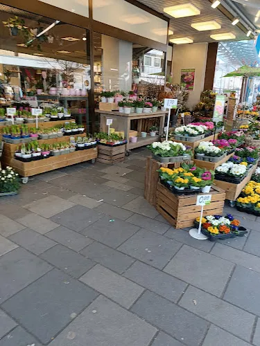 2 - Podologie Galina Derr