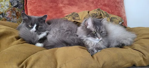 8 - Podologische Praxis Justine Rozniecki-Grychatz