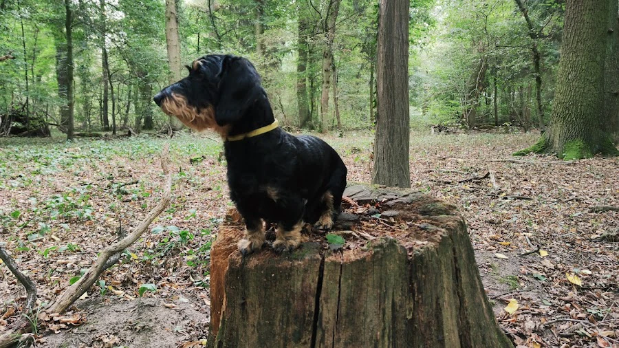 1 - Podologische Praxis Justine Rozniecki-Grychatz