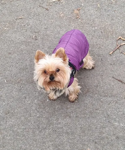 2 - Podologische Praxis Justine Rozniecki-Grychatz