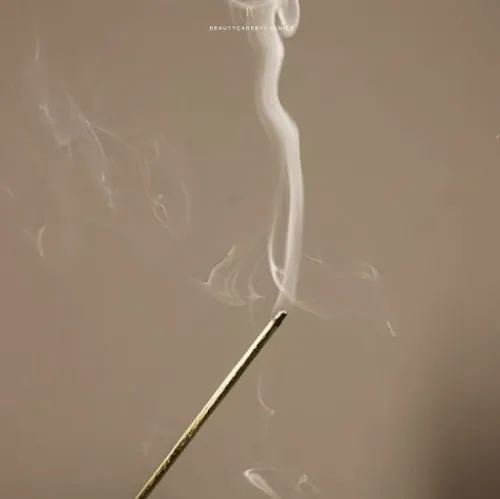 6 - Princess kapsalon