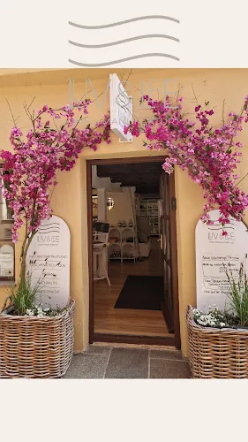 6 - Pro Beauty by Evi Miller