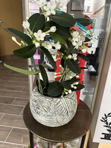 5 - Rapunzel Friseur